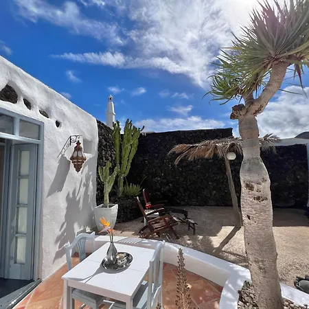 Casita Aloe In *