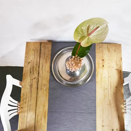 Appartamento Casita Aloe In *